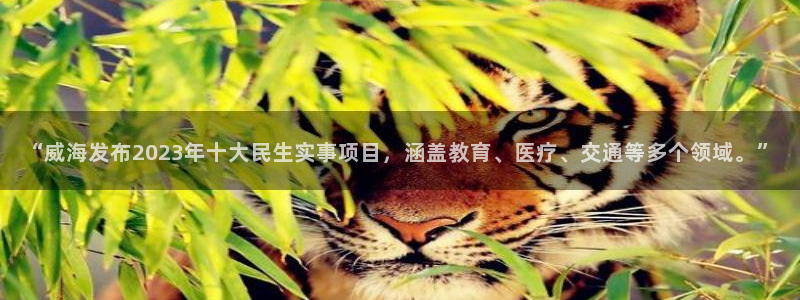 “威海发布2023年十大民生实事项目，涵盖教育、医疗、交通等多个领域。”