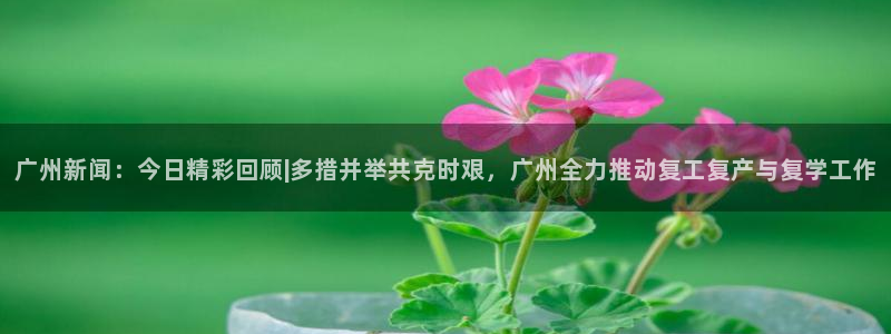 广州新闻：今日精彩回顾|多措并举共克时艰，广州全力推动复工复产与复学工作