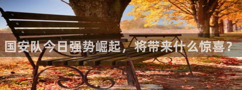 国安队今日强势崛起，将带来什么惊喜？