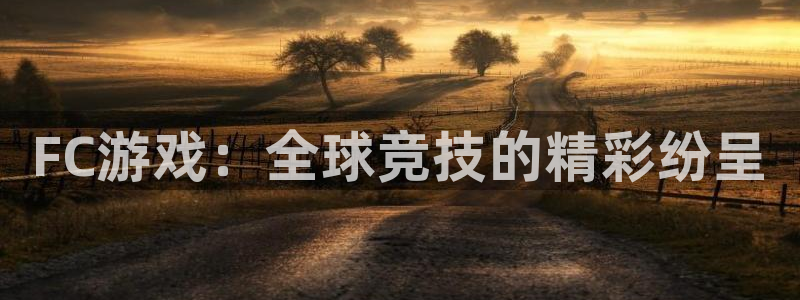 FC游戏：全球竞技的精彩纷呈