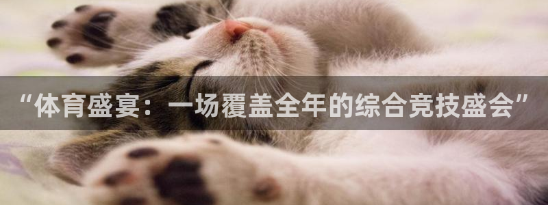 “体育盛宴：一场覆盖全年的综合竞技盛会”